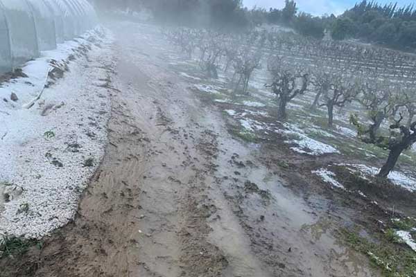 336786197 151204307640983 9105394401822474949 n