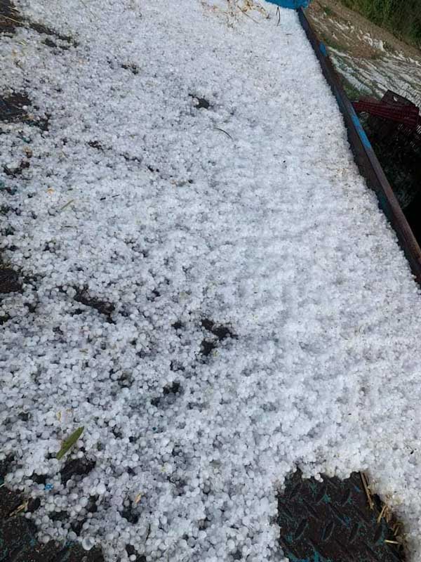 336787968 923382345432899 4742154359039864261 n