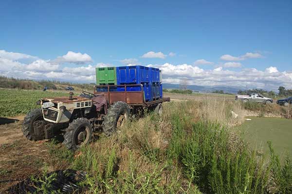 104392486 2582296928701942 5825420304982130931 n