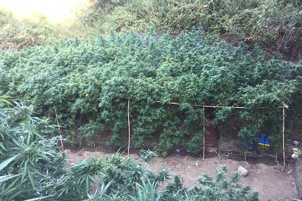 16092019-dyt ell fyteia004