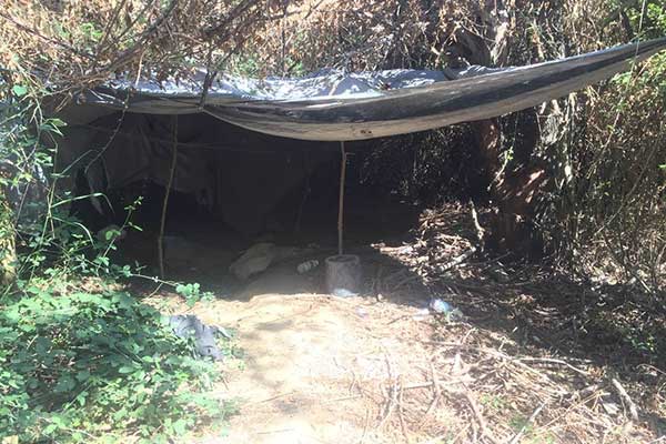 16092019-dyt ell fyteia005