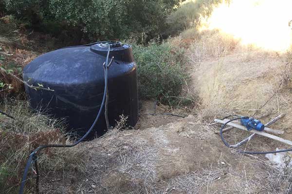 16092019-dyt ell fyteia006