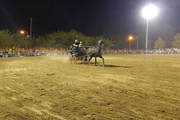 IMG 20230917 180656 976