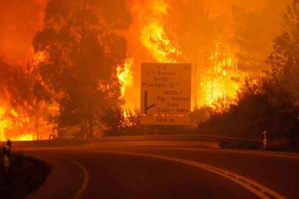 Πυρκαγιά κόλαση στην Πορτογαλία -Τουλάχιστον 62 νεκροί, πολλοί παγιδεύτηκαν σε ΙΧ