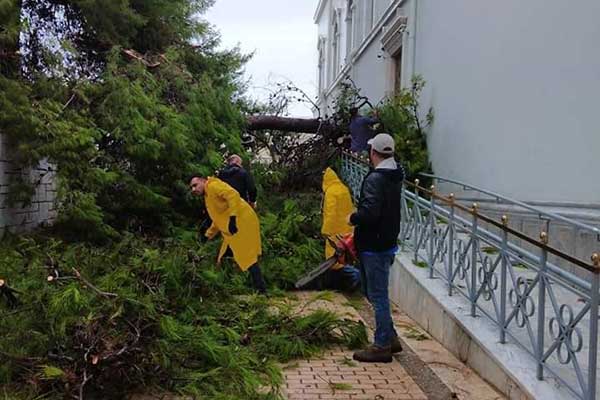 119722386 2634498843466783 4952331767602566467 n