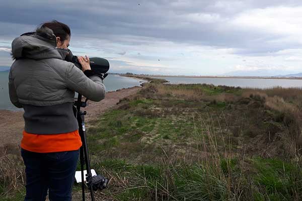 Υγρότοπος Κοτυχίου-Στροφυλιάς: Στο Εθνικό Πάρκο το 60% των προστατευόμενων ειδών πουλιών της χώρας