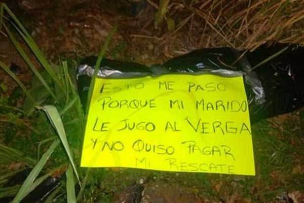 apagogi 1 252863 143210 type13260