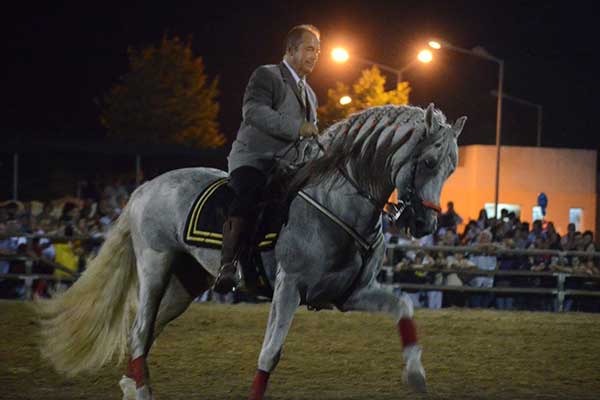 82η Ιππική Έκθεση Ανδραβίδας: Εντυπωσιάστηκαν μικροί και μεγάλοι από το μοναδικό θέαμα [PHOTOS]
