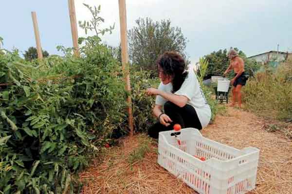 Βοήθημα 1.000 ευρώ για πολύτεκνες αγρότισσες: Μέχρι τις 6 Νοεμβρίου η υποβολή αιτήσεων