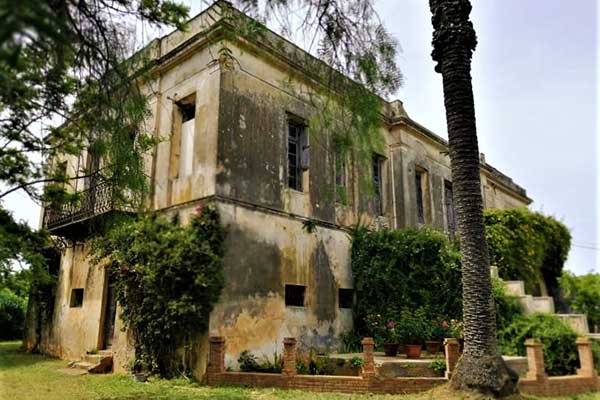 145259494 1783852431776962 3953606121999504937 n