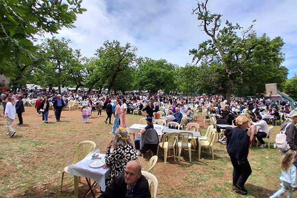 IMG e21060c064357ce9f712d1e2b5d88044 V