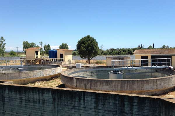 20200602-ΒΙΟΛΟΓΙΚΟΣ-ΓΑΣΤΟΥΝΗΣ-ΒΑΡΘΟΛΟΜΙΟΥ-3