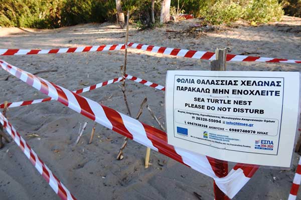 Σήμανση φωλιάς θαλάσσιας χελώνας 002