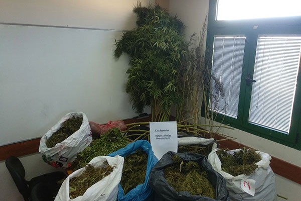 20102019ditikinark001