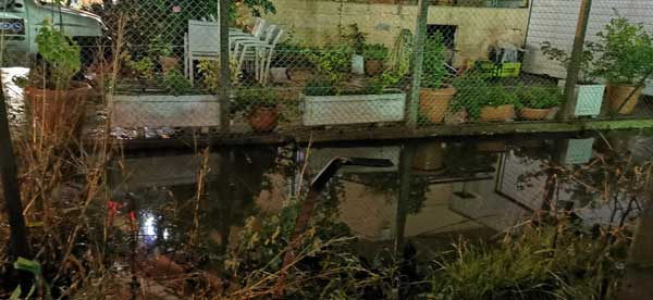 75446487 913568265710450 128677426346590208 o