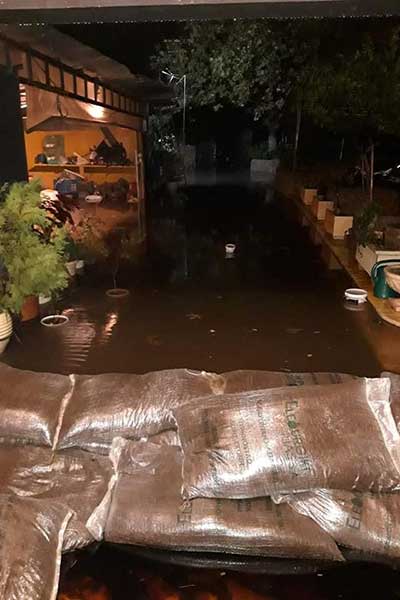 76713897 10215973607553737 3410762224153657344 n