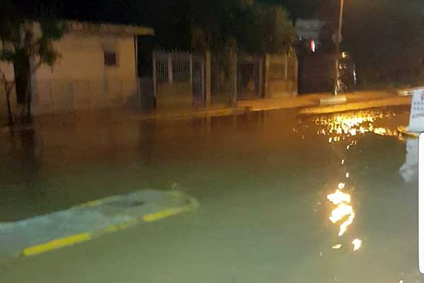 76902021 10220759483675783 2871019142968770560 o