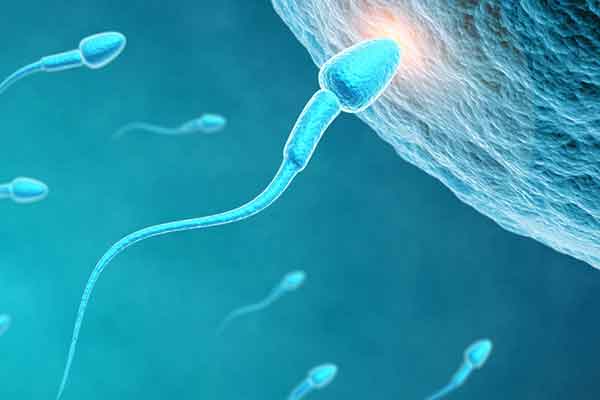 Υπογονιμότητα πριν τα 30: Πού μπορεί να οφείλεται;