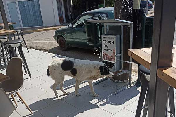 τοποθέτηση-ταΐστρα-σημείο-ΚΤΕΛ-Ζαχάρως003