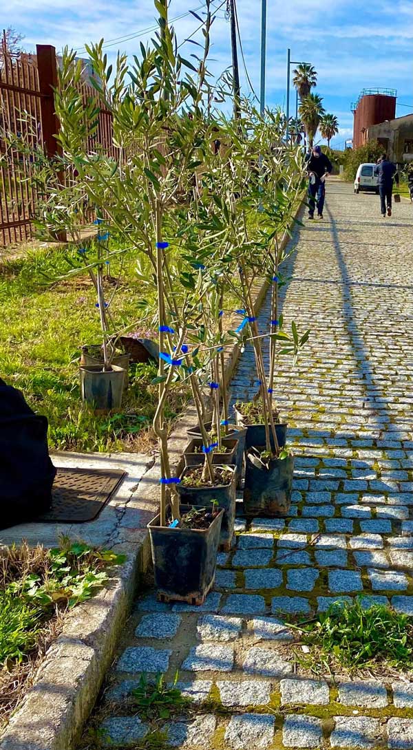 274067574 245032707845062 6894446453694540852 n