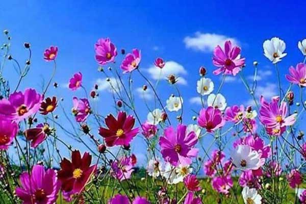 Τι είναι η εαρινή ισημερία - Όλα όσα πρέπει να ξέρετε! 