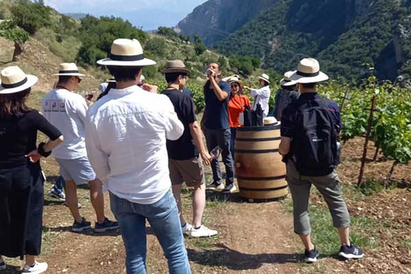 20230620 ΠΡΟΩΘΗΣΗ ΟΙΝΩΝ 2