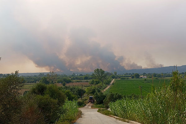 448742686 10235683461053922 6841723723324926033 n