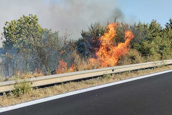 295072920 3153717181559911 7216188597225486432 n