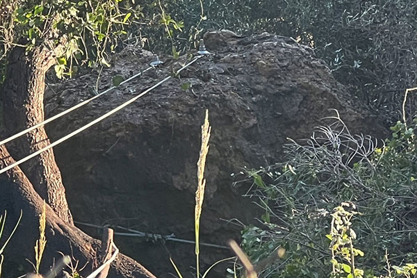 641657159 122254721678177802 8900342138690137909 n