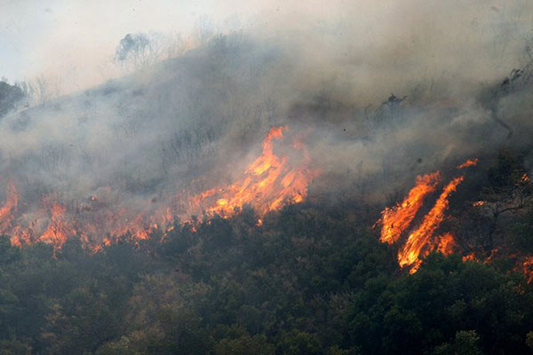 Κύπρος: Αντιμετωπίστηκαν οι αναζωπυρώσεις, ελπίζουν να περιορίσουν την πυρκαγιά