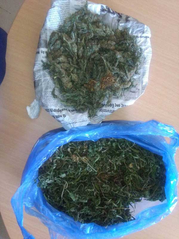 22062019dytellnark001