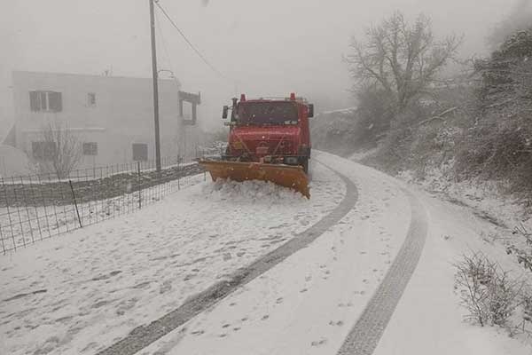 272314359 4605811036180728 4415209169069638379 n