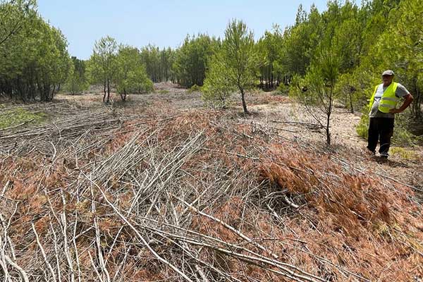 68b126e6 0e5a 4ead b326 e27b41625e8a