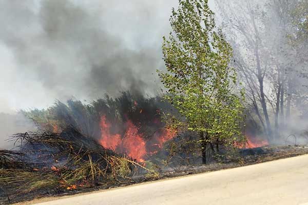 68698188 2335641506700820 1637555783107346432 n