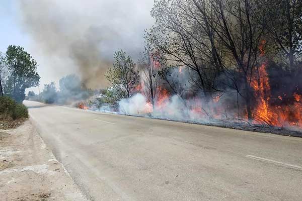 68918188 2335641956700775 1913923412342865920 n