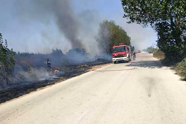 68947159 2335641393367498 4583864233896181760 n