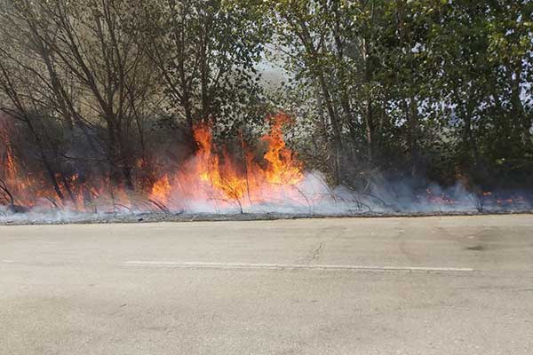 69054710 2335642003367437 1514843546643857408 n