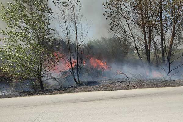 69123405 2335641470034157 6899939684865015808 n