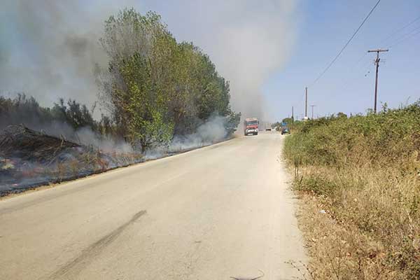 69673511 2335641653367472 5194803656506998784 n