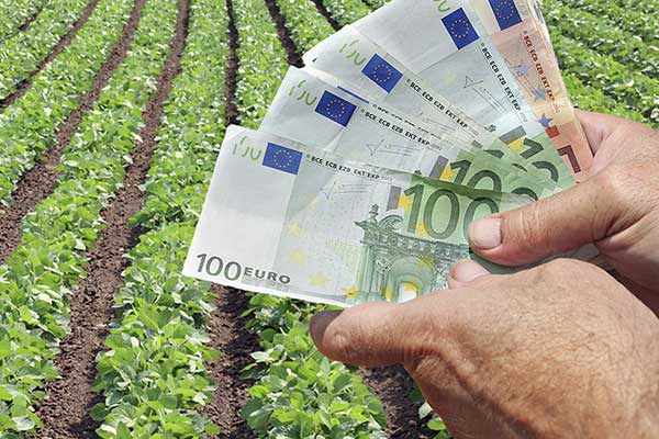 Αυξήσεις - σοκ στις εισφορές για 625.000 αγρότες - «Λυπητερή» 93 εκατ. ευρώ 