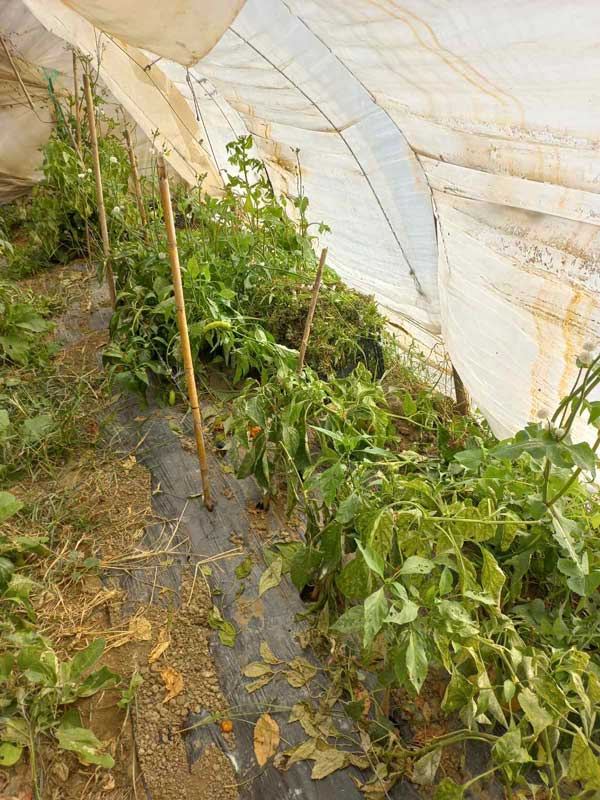 405815826 653586256962935 6283879082998048389 n