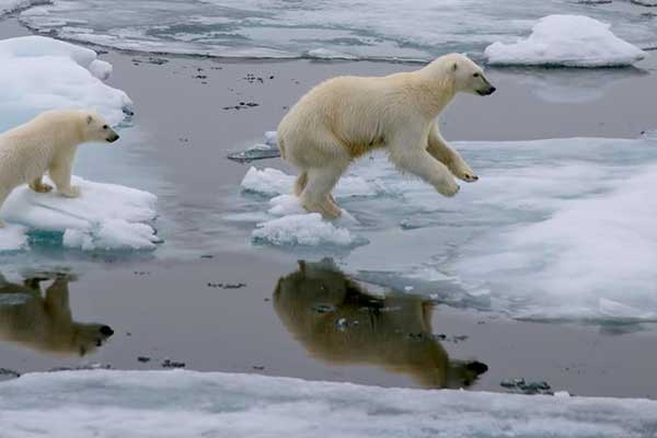 Συναγερμός στον Βόρειο Πόλο: Θερμοκρασία 20 βαθμούς πάνω από το κανονικό τα Χριστούγεννα-Ανήσυχοι οι μελετητές 