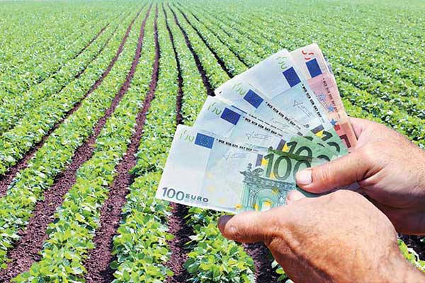 Σχέδιο για διαγραφή αγροτικών χρεών από «κόκκινα» δάνεια- Με διαδικασίες εξπρές