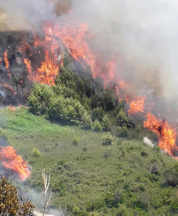 109868136 3389205297757872 8722371206550250336 n