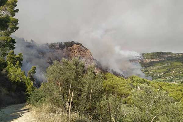 110752085 3251960494827408 4212957136674668881 n