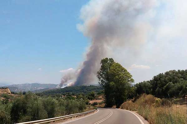 116212694 3551800991518200 2743417504669030917 n