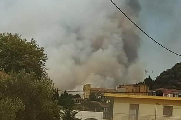 FB IMG 1595604235530 copy 600x400