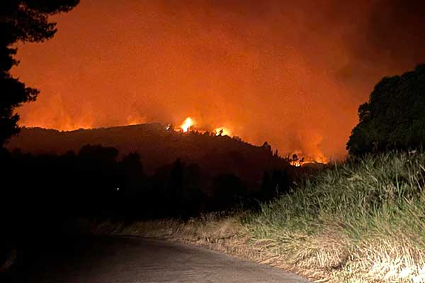 294524094 5600317063325323 1381053602539923024 n