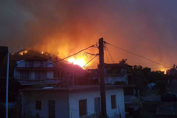 294674337 10218234752220597 4237066325065954564 n