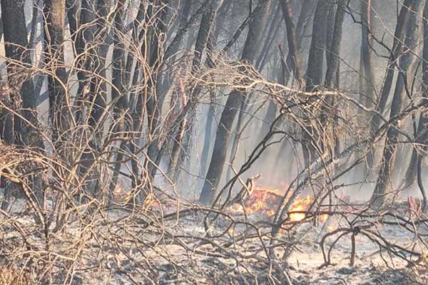 294675204 759500521865046 6772034356597395916 n